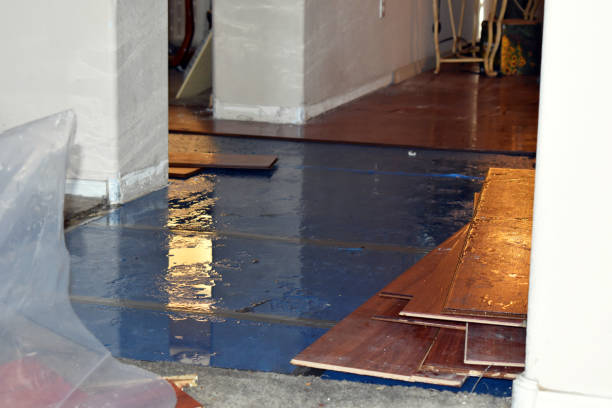 Professional Basement Flood Cleanup technician working in Dallesport, WA